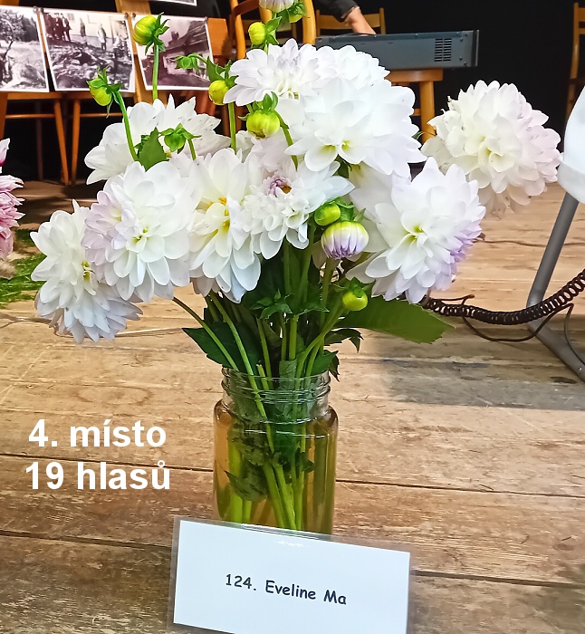 04-4 misto.jpg
